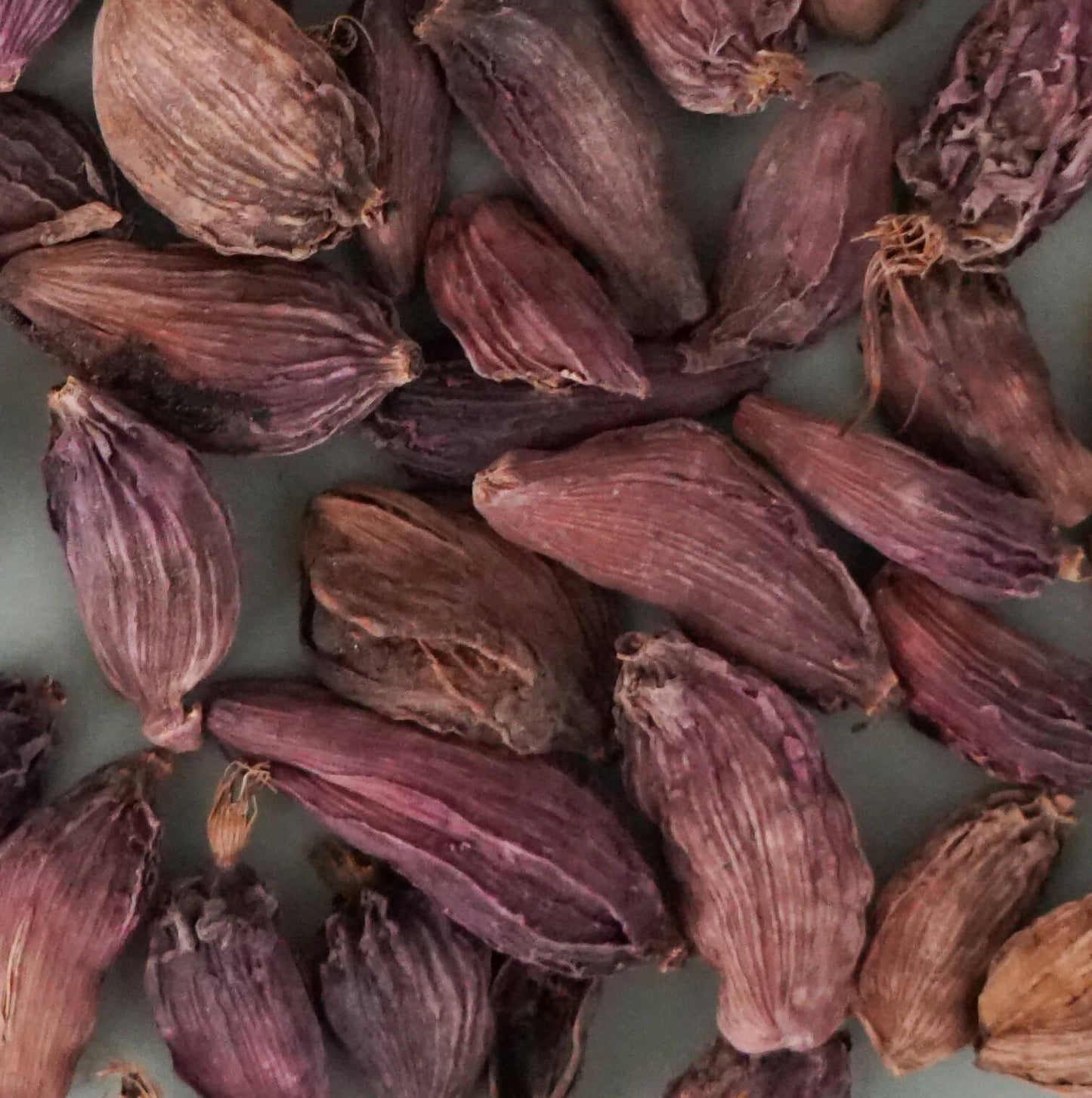 Black Cardamom, 1.2oz - Sourcery