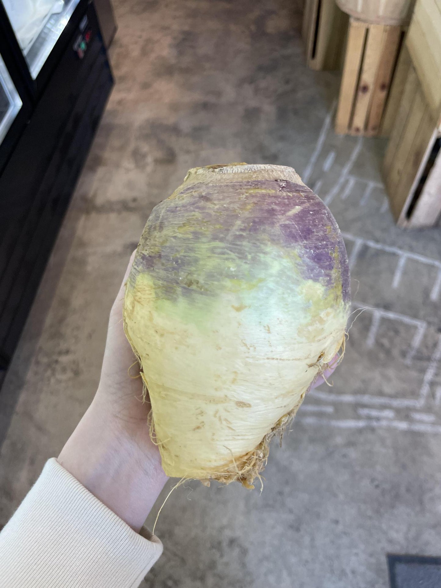 Rutabaga, Organic