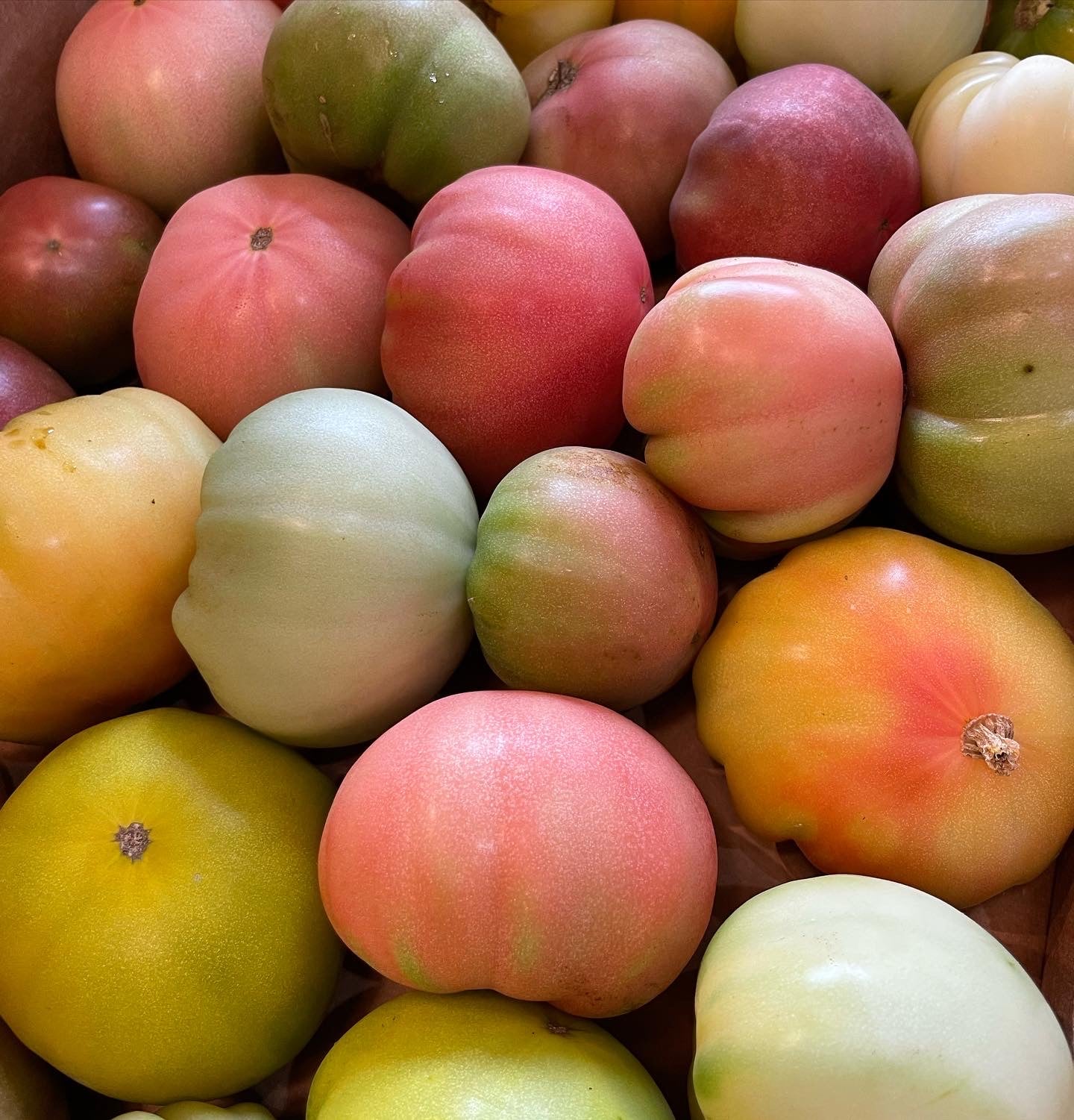 Mixed Heirloom Tomatoes 1lb