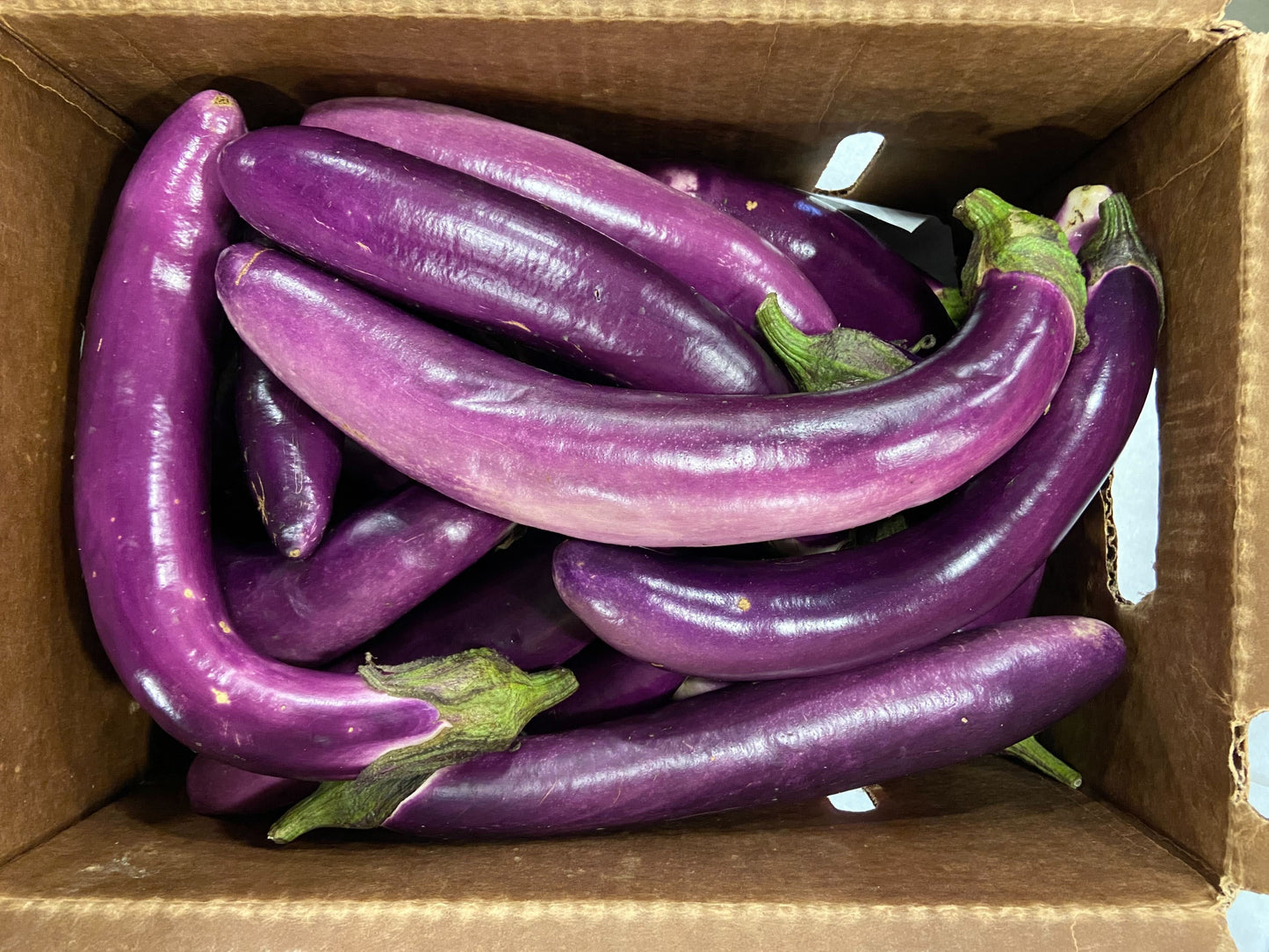 Ping Tung Long Eggplant, Organic 0.5lb