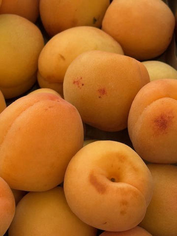 Apricots, Organic 1lb