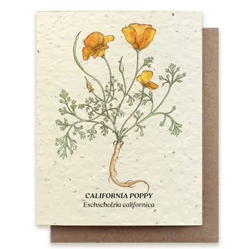 California Poppy Plantable Wildflower Seed Card