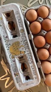 Eggs, Organic Free-Range Cartons - Latremore Farm