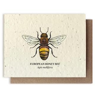Honey Bee Plantable Wildflower Seed Card