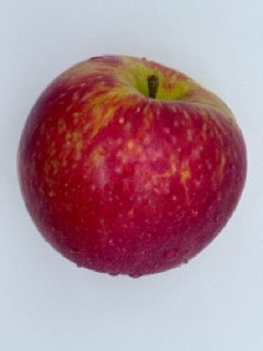 Apples, Honeycrisp IPM 1 pc