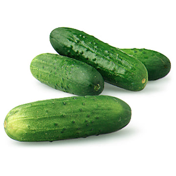 Kirby Cucumbers, Organic 1lb