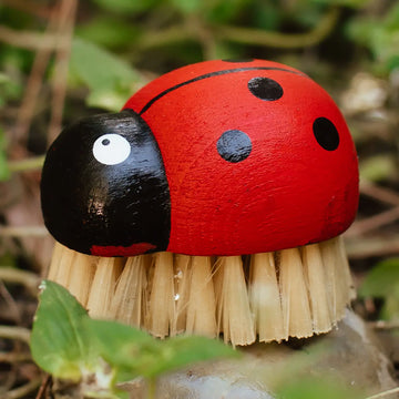 Ladybug Brush - Zefiro