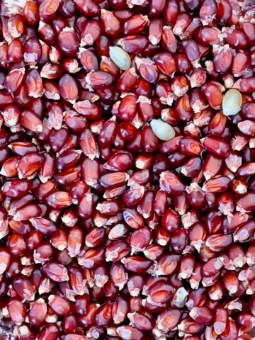 Popcorn, Ruby Red 1 lb