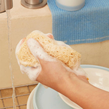 Scrub Sponge 3-pack