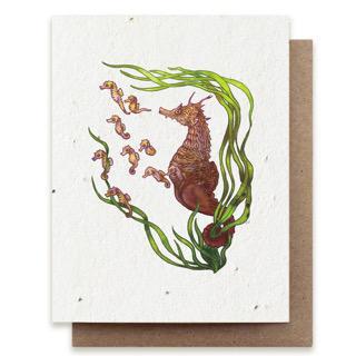 Seahorse Father Plantable Herb Seed Card