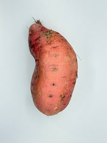 Red-skinned sweet potato on a light gray background