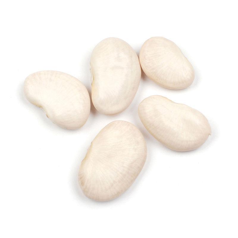 Large Lima Beans, Organic