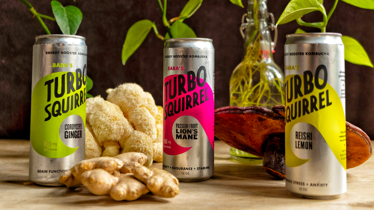 Cordyceps Ginger Kombucha - Turbo Squirrel 12oz