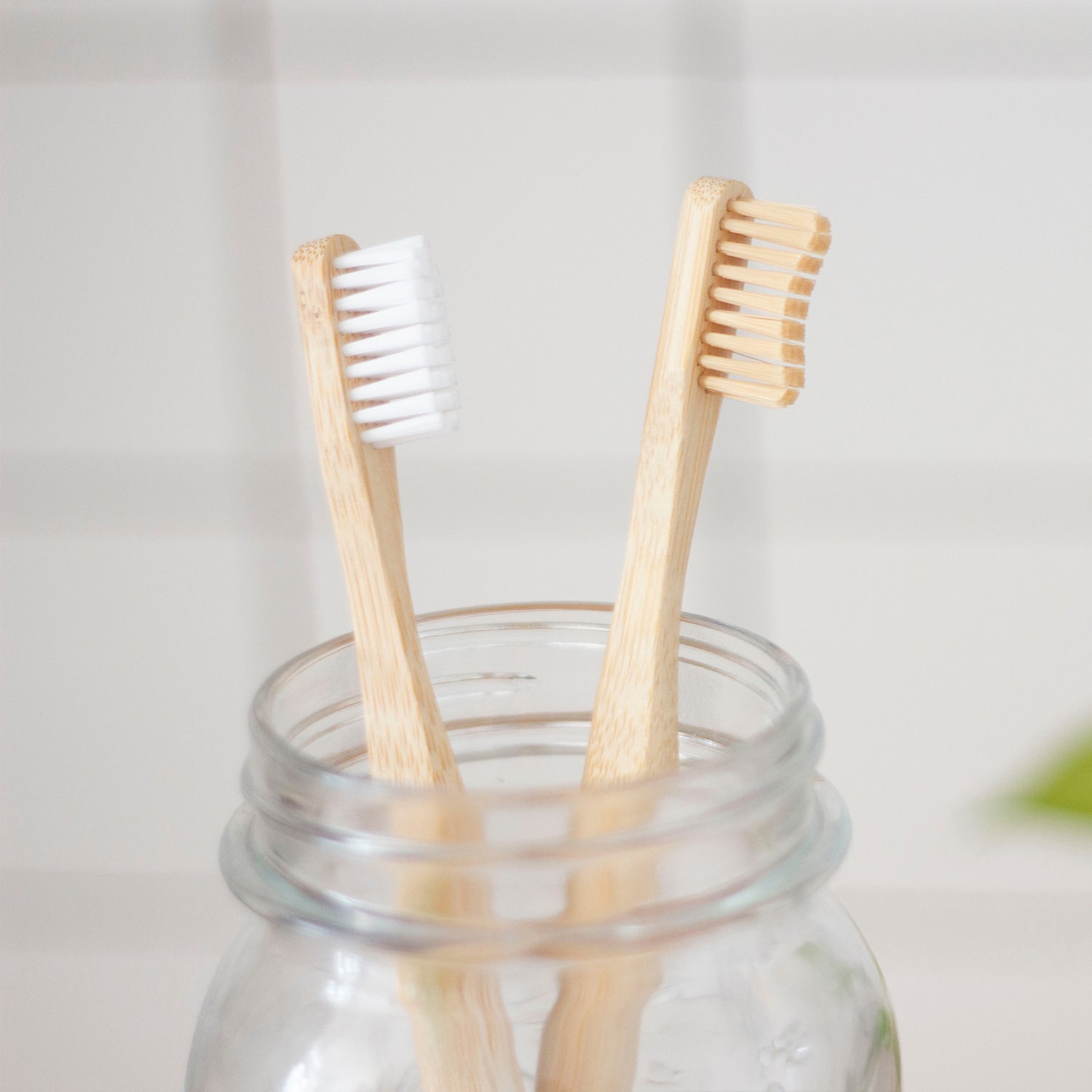 Personal Care / Dental