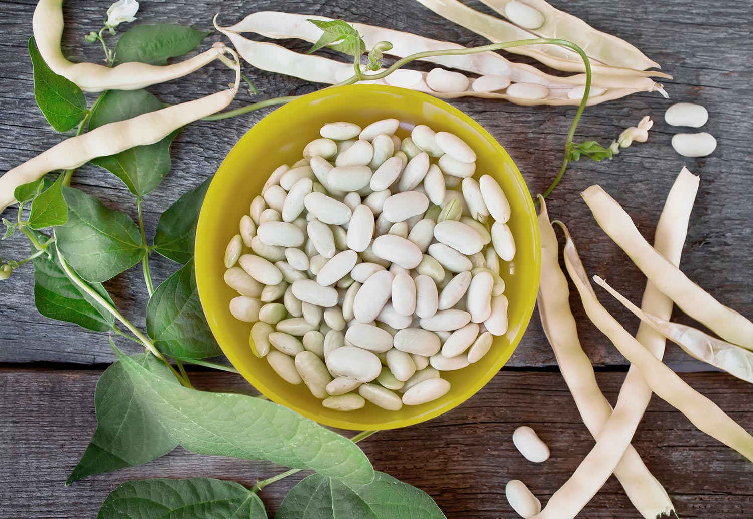 Beans and Legumes