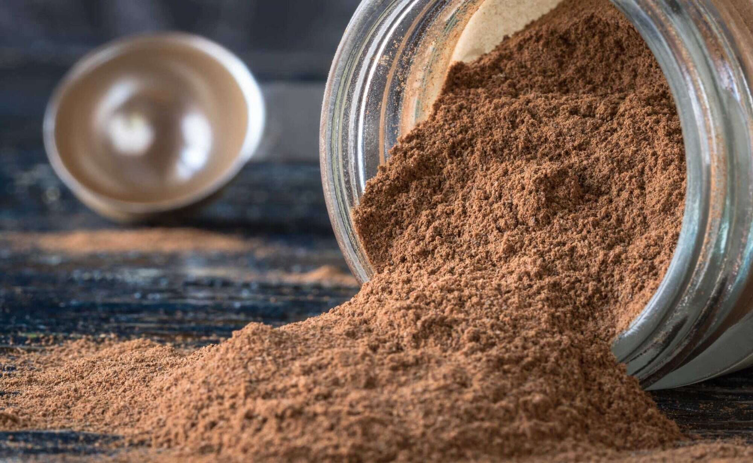 Protein Powder