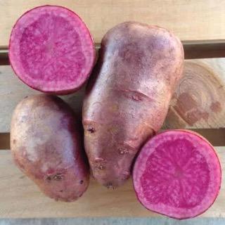 Adirondack Red Potatoes, Organic 0.5lb