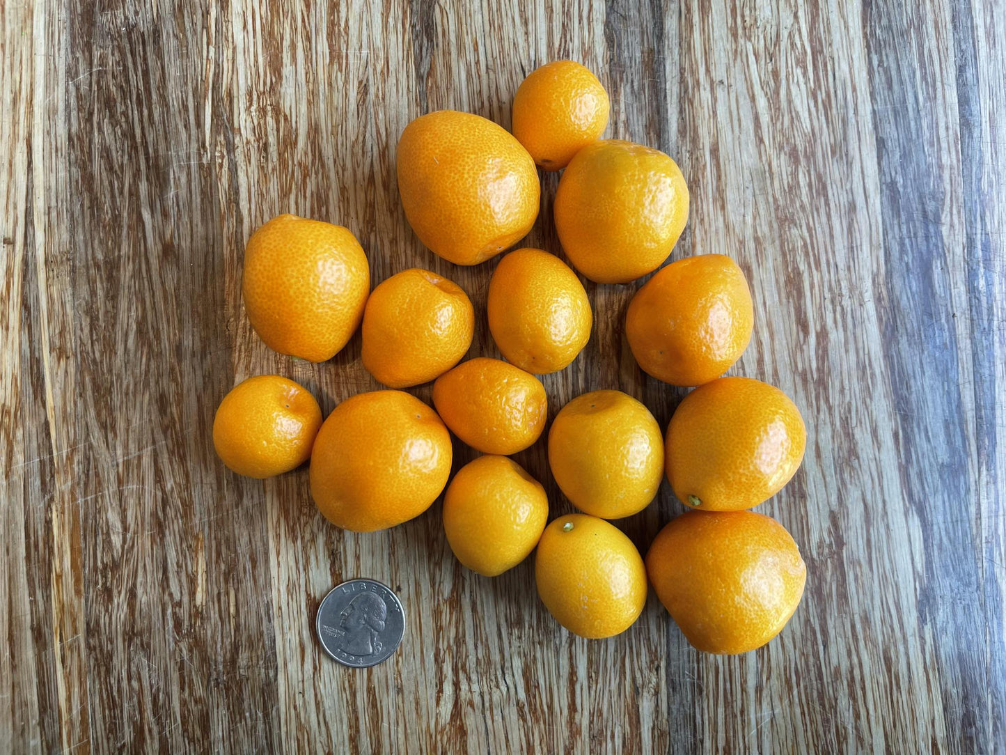 Fukushu Kumquats 0.5lb