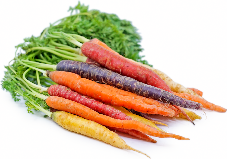 Bunched Rainbow Carrots, Organic