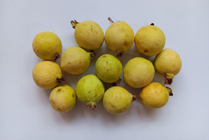 Guava Calvillo 1 lb