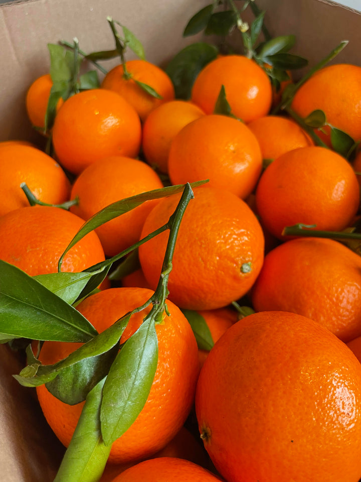 Page Mandarins, Organic Pc