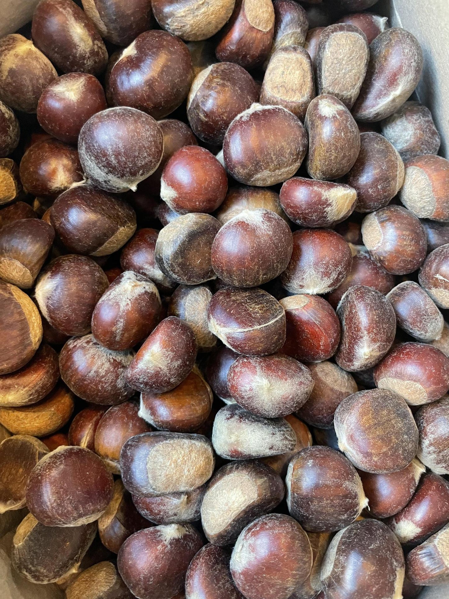 Chestnuts 0.5lb