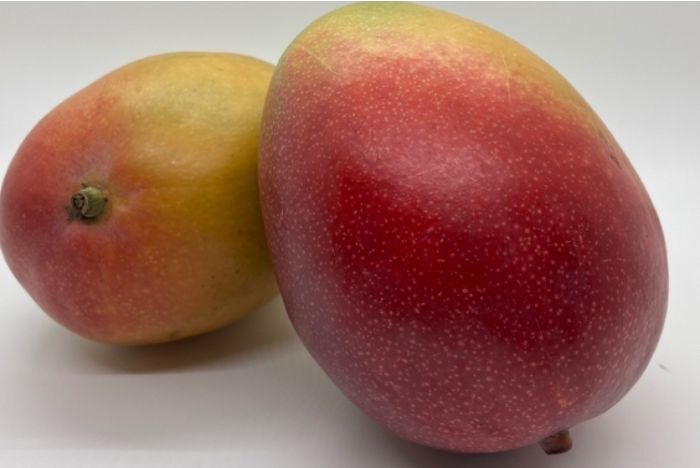 Kent Mango, Organic