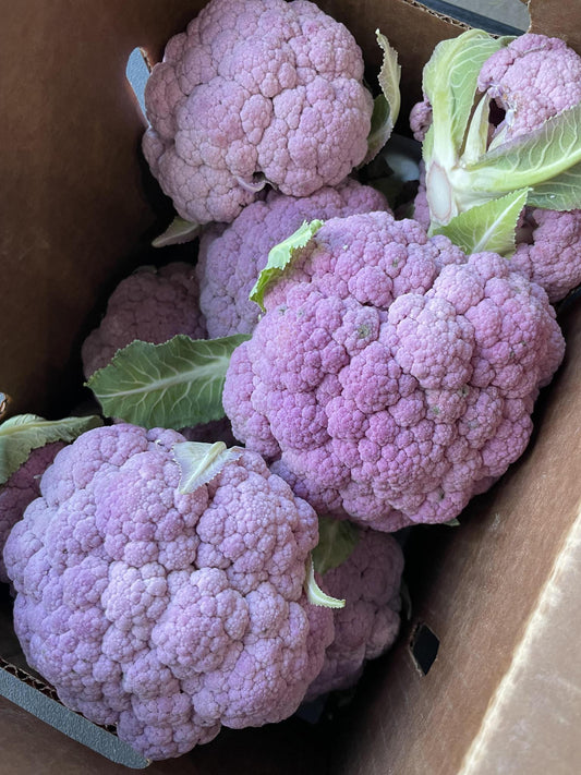 Baby Purple Cauliflower, Organic
