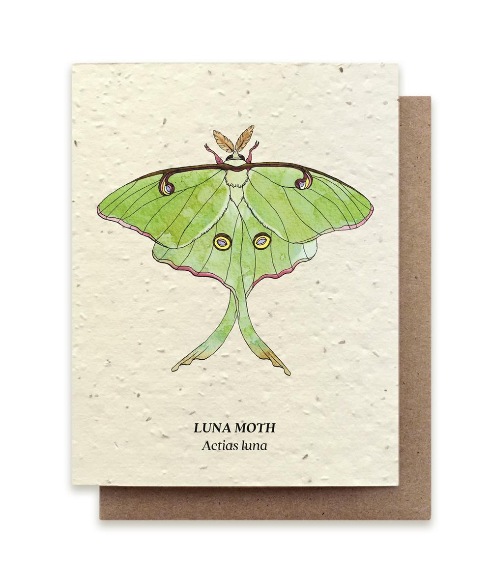 Luna Moth Plantable Wildflower Card