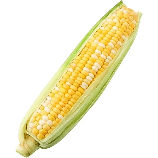 Sweet Bi-color Corn, IPM