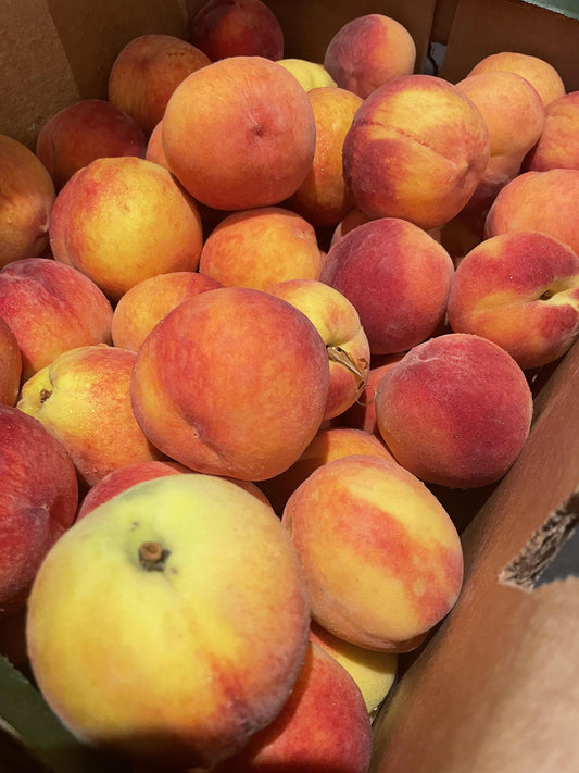 Yellow Clingstone Peaches, IPM