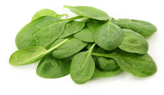 Spinach, Flat Leaf, Organic 0.1lb / 1.6oz