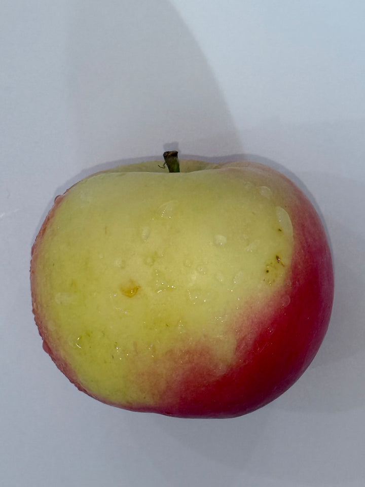 Apples, Sansa IPM Pc
