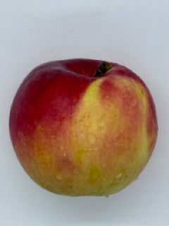 Apples, Sansa IPM Pc