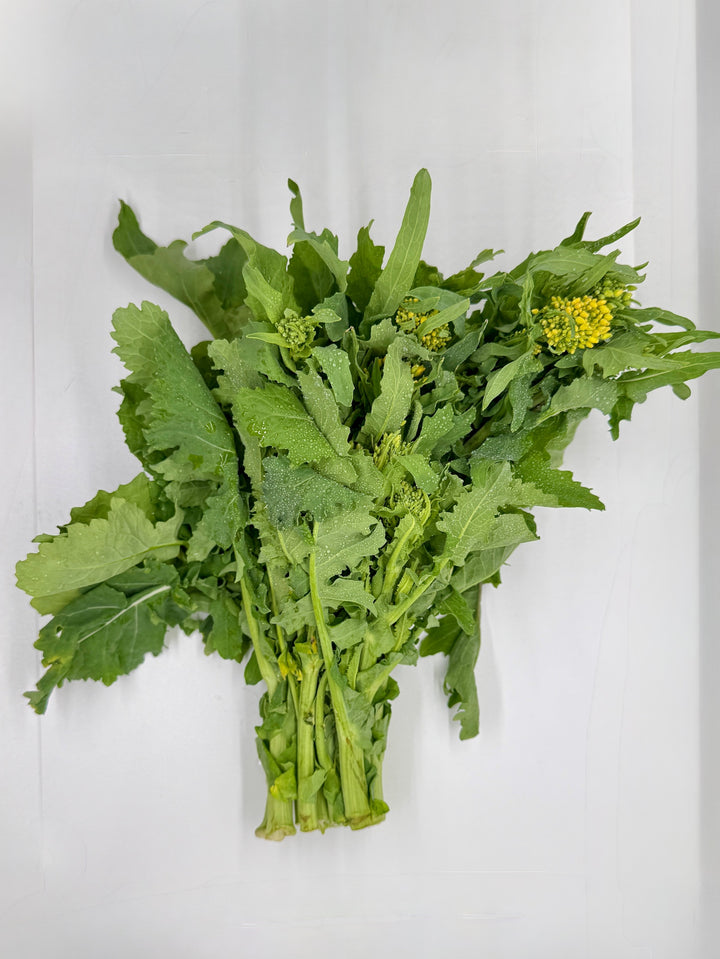 Broccoli Raab, Chinese "Autumn Torch" Organic, bunch