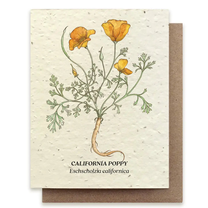 California Poppy Plantable Wildflower Seed Card