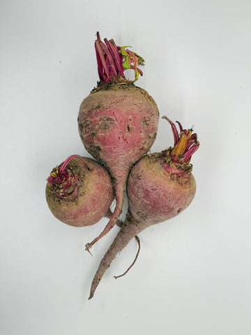 Chioggia Beets, Organic 1 lb