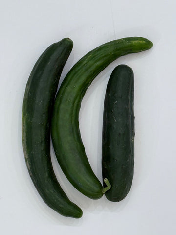 Cucumbers, Long Japanese "Natsu" OG Pc