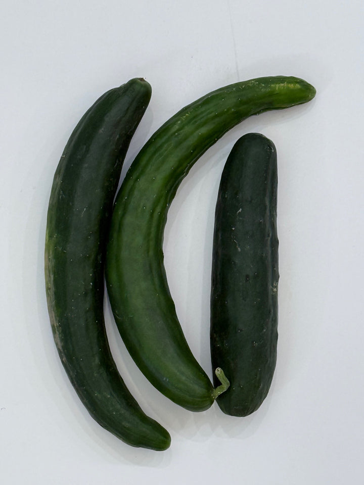 Cucumbers, Long Japanese "Natsu" OG Pc