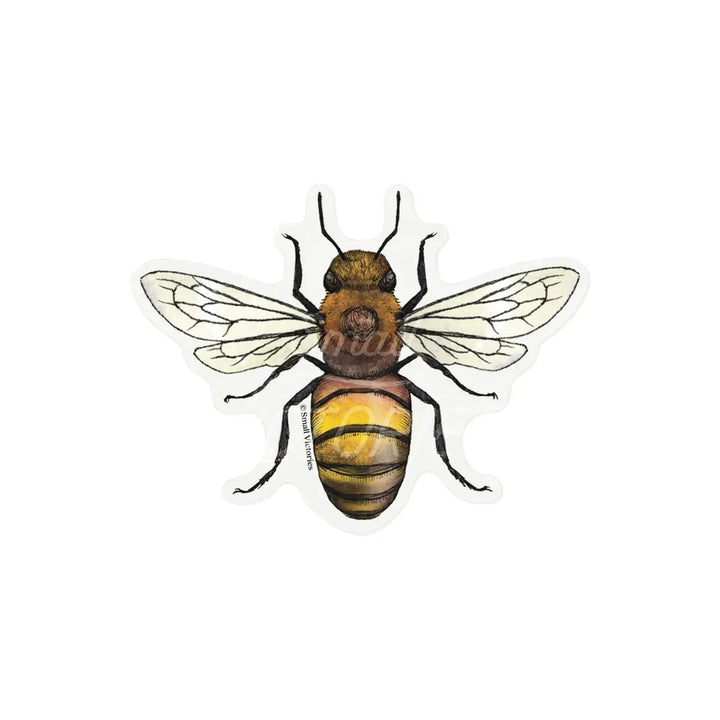 Eco-Sticker: Honey Bee