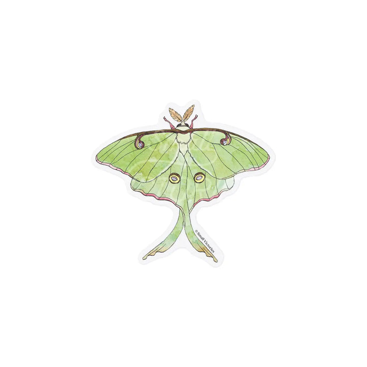 Eco-Sticker: Luna Moth