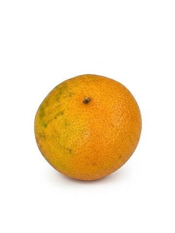 Fallglo Florida Tangerine Pc