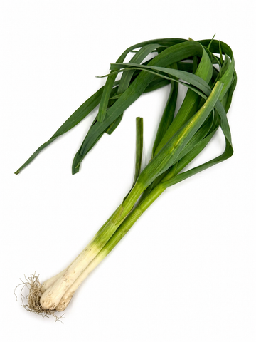 Garlic - Green, Bunched