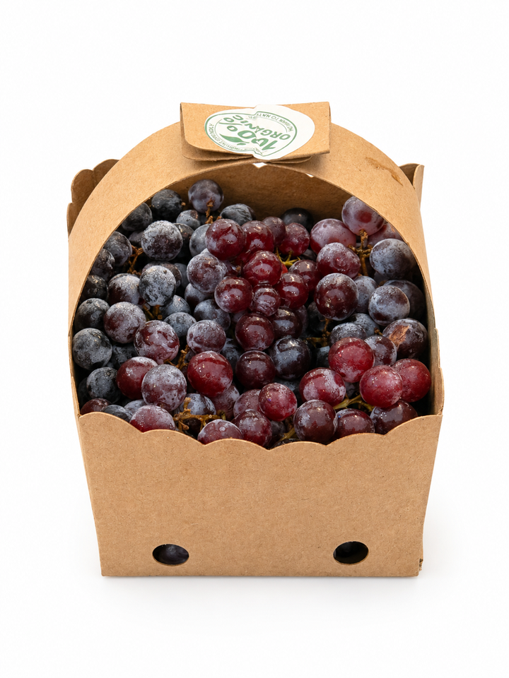 Grapes, Thomcord, pint