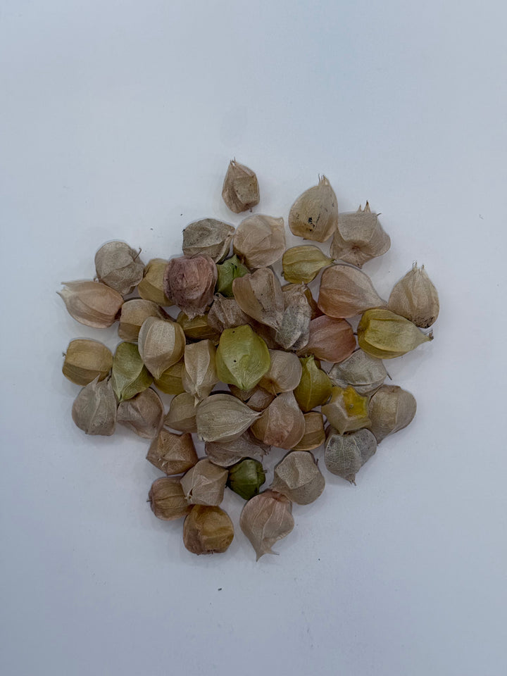 Ground Cherries 0.25 lb