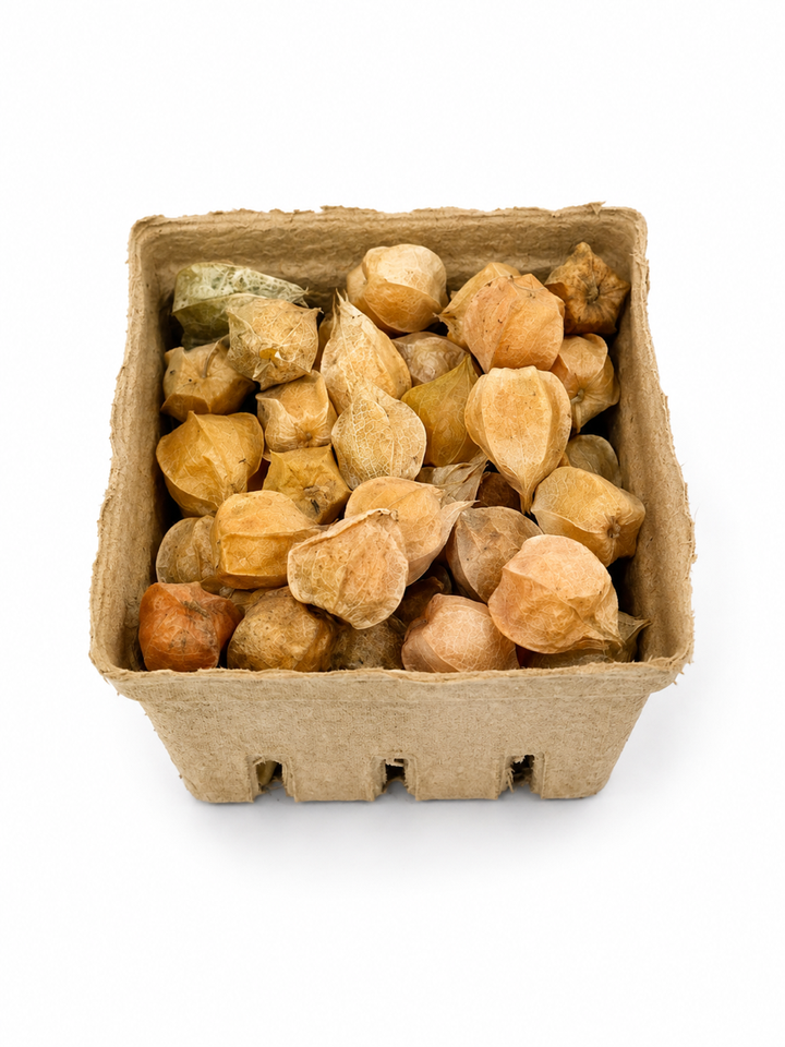 Ground Cherries Pint