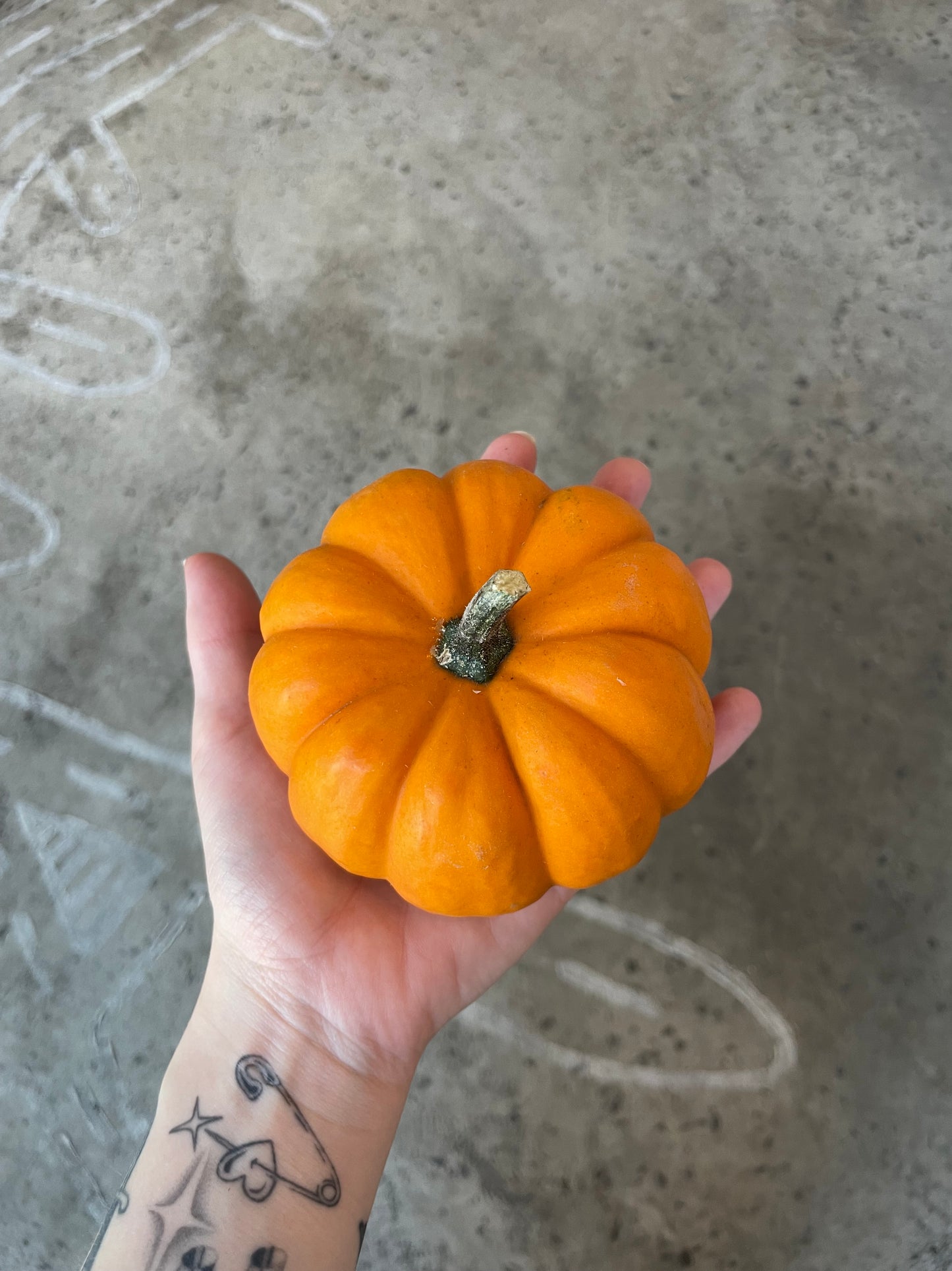 Jack-Be-Little Pumpkin, Organic