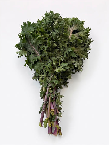 Kale, Red Russian Organic
