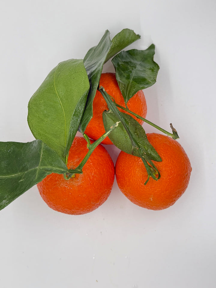Kori Seedless Mandarins 1 lb
