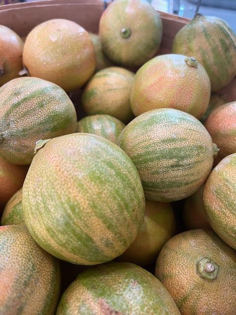 Lemons, Pink Varigated 1 pc